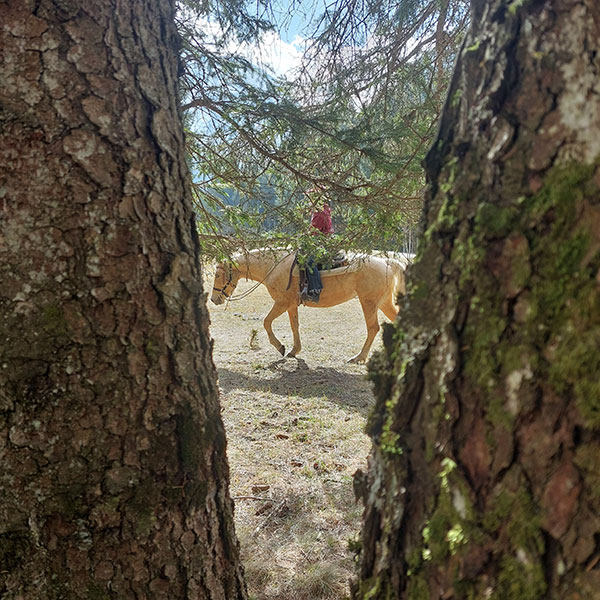 passeggiate-10