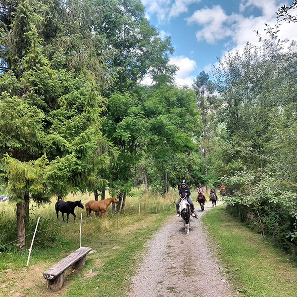 passeggiate-16